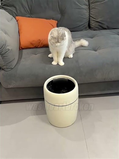 The owner plays a prank on this ferret.