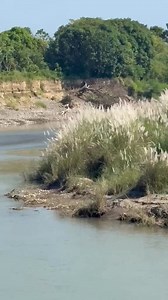 KONTRA SA RESOLUTION NG BRGY. COUNCIL NG STO TOMAS, SAN JACINTO, PANGASINAN NA IPINASA NILA NOONG NOVEMBER 28,2025 NA NAKATAYO AT PINAKIKINABANGAN NG MGA RESIDENTE ANG FLOOD CONTROL SA SITIO DALUMAT SA KANILANG BARANGAY AT PAHAYAG NG MGA MEDIA NI CONG. CHRISTOHER DE BOLA AY ESTE DE VENECIA NA SINABIHAN NILA AKONG EXTORTIONIST, NANGONGOTONG NG 5-MILYONG SA KONTRAKTOR DAW AT PEKE RAW ANG AKING MGA DOKUMENTO NA GINAMIT KONG EBIDENSYA SA PAGSASAMPA NG KASO LABAN SA MGA DPWH OFFICIALS NG REGION 1,, E