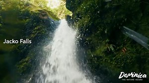 Your Kool Escape this Summer is in Dominica — where rivers run wild and powerful waterfalls call you to dive into nature’s purest adventure. If you're chasing waterfalls, this is the place — with more than enough to choose from, Dominica makes the fantasy real. Book your Kool Escape now: https://discoverdominica.com/en/kool-escapes #koolEscape #Dominica #NatureIsland #ChaseWaterfalls #WaterfallAdventures #365Rivers #WanderDominica #SummerInNature #DominicaVibes #CaribbeanEscape #NatureLoversPara