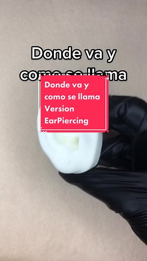 Cual te harías o ya tienes alguno?👀 (Son solo algunos, hay más zonas para las piezas) #cancriaccessories #piercing #venezuela #earpiercing #fyyyyyyyyyyyyyyyy #lentejas #fyp