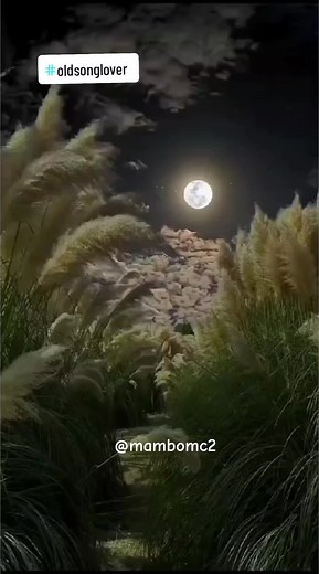 Sweet Memories - Andy Williams (1968)