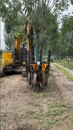 Landscaping Equipment Spotlight: The Best Tree Digging Machines ✨