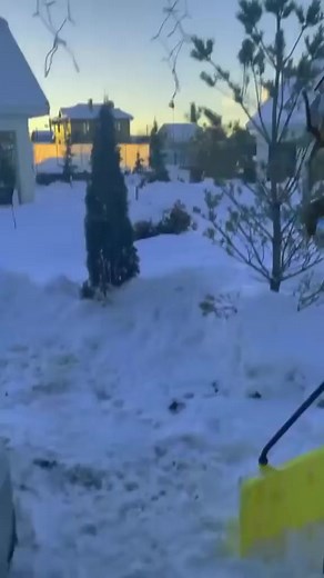 What is this animal 😳? Is this an alien!!! #alien #aliens #viralreels #trendingreels #fypシ゚viral #fypシ゚ #viralshorts #shortsvideos #viralpage #Real #fyp #OMG #trend #trending #trendingnow #trendingpost #usa #UFO | Unexplained Mysteries