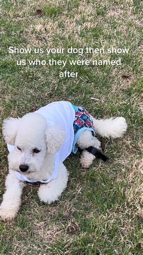 Pernell the menace on house arrest | house arrest