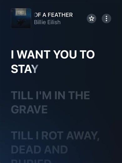 Discover the Meaning Behind Your Favorite Song Lyrics