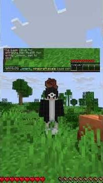 פקודות מגניבות במיינקראפט