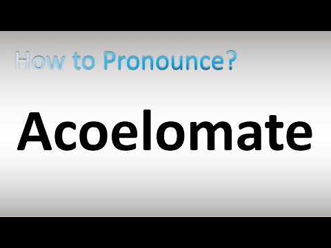 How to Pronounce Acoelomate