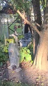 Halloween Gates of Heaven #halloween #cemetery