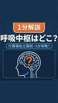 呼吸中枢と延髄の覚え方（語呂合わせあり）【介護福祉士国家試験対策】過去問解説
