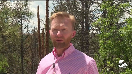 Protect Your Wallet: Avoiding Wildfire Scams This Fire Season