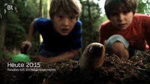 Ein Paradies, in dem etwas nicht stimmt - und ein Bestatterehepaar mit kriminellem Freund - zwei Heimatkrimis gibt's heute im BR Fernsehen: "Paradies 505. Ein Niederbayernkrimi" um 20.15 Uhr "Föhnlage. Ein Alpenkrimi" um 22 Uhr. | BR - Bayerischer Rundfunk