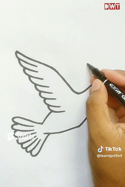 Easy Bird Drawing Tutorial: How to Draw a Parrot Step by Step