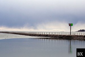 Buffalo Collection Agency Bond: A Comprehensive Guide