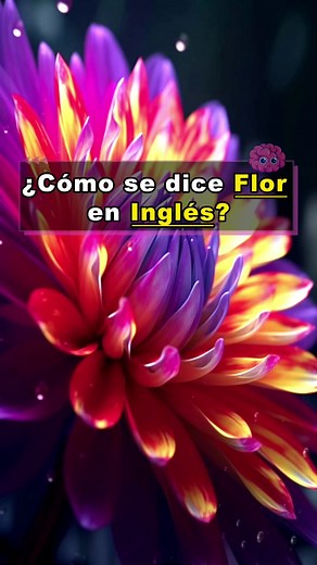 ¡Comenta cuántas acertaste! #quiz #inglés #conocimiento #adivinanza #culturageneral #inglesfacil #quiztime #quizchallenge #quizz #preguntas #pregunta #preguntasyrespuestas #challenge #trivia #desafio