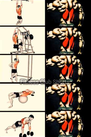 Lats Builder Workout💪|#LatsWorkout #BackDay #VShapeBody #LatSpread #StrengthTraining