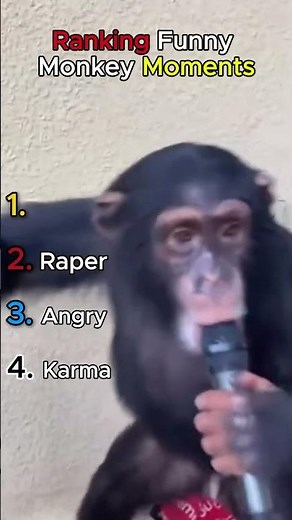🦧 Ranking funny Orangutan Moments Part 2 (must watch)