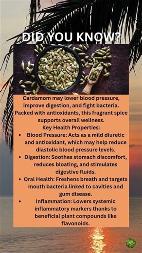 Cardamom Health Benefits