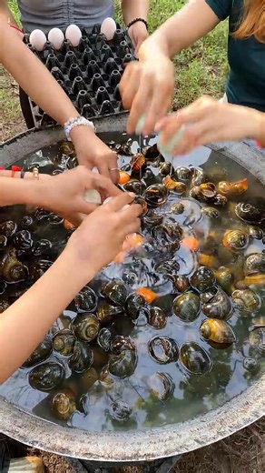 107K views · 824 reactions | Cook and wash snail recipe. #villagecooking #cooking #food #eating | Pushpa Lifestyle | Facebook