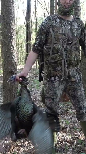 Turkey Hunting ASMR #hunting #wildlife #shorts