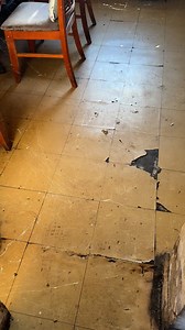 1.3M views · 14K reactions | Look at the spider webs  | Jamierob2 | Facebook