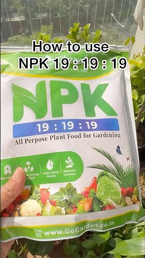 How to use NPK 19 : 19 : 19 for indoor and outdoor gardens 👩‍🌾🪴 #plantstoriesbypoojaaparajita