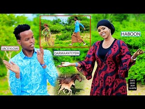 Darmaanteyda Dhaanto Cusub Haboon Happy iyo Daauud jaceylow New Video dhaanto 2024