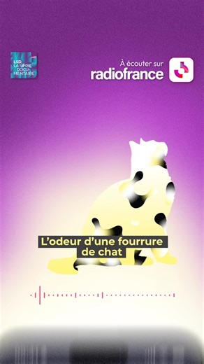 Le chat : maître du monde ou simple squatteur de canapé ? La réponse est dans ce podcast France Culture en 8 épisodes, à écouter sur Radio France | Radio France
