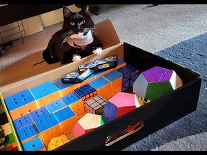 Petaminx TimeLapse Solve In 7 Steps!!