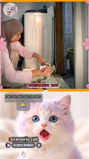 coffee washing machine 🤣 #voiceacting #tiktoktrend #jumpstyle