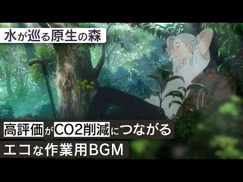 作業用BGM - 屋久島 | 水が巡る原生の森【睡眠/勉強/集中】