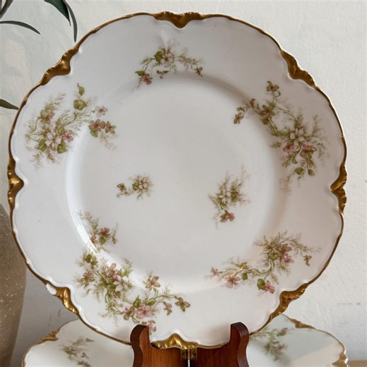 Haviland Limoges Plates | Apple Blossom Schleiger Luncheon Plates | Antique Haviland France Porcelain | Gold Rim Floral China | Set of 6 - Etsy