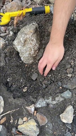 ⛏️ We Dug Where the Detector Pointed and Found Treasure #metaldetecting #treasuresearch #coin