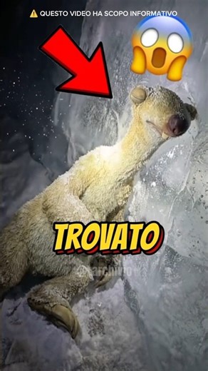 HAVE THEY FOUND ICE AGE CHARACTERS AT THE SOUTH POLE? 😱 #curiosity #informative