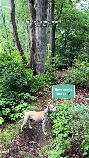 MissGetOutside on TikTok