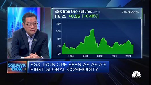 Iron ore prices are reflecting 'slightly bearish' economic sentiment in China: SGX Group