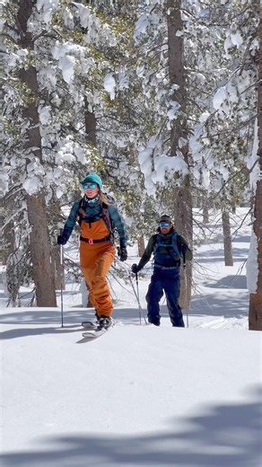 The Mt. Rose Wilderness is a half an hour from Reno and offers some of the highest elevation Lake Tahoe skiing in the region. 🎿 Follow the link to earn your turns and take on backcountry skiing in #RenoTahoe. ➡️ https://bit.ly/4crjO96 | Reno Tahoe