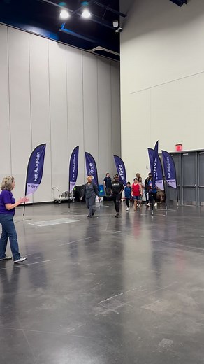 Day 2 of Petco Love Lost’s Mega Adoption event is underway until 5 pm at the George R. Brown Convention Center! Adoptions are $35 for all dogs and cats. Stop by Hall A and find your newest family member! | BARC Animal Shelter & Adoptions