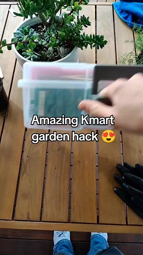 Ultimate Seed Storage for Your Veggie Garden | Kmart Gardening Hack