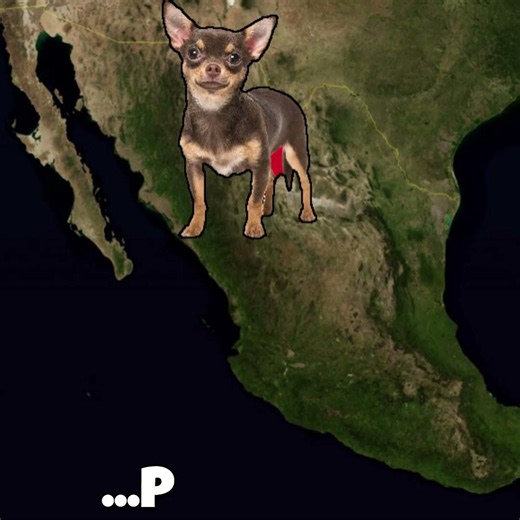 Pregunta pa' Chihuahua #map #mapping #mapper #mexico #chihuahua