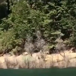 191K views · 1.1K reactions | Oh Mio Dio | Ridi che ti passa | Facebook