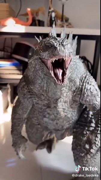 Update on my Godzilla collection 📷 #godzilla #love #live