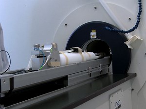 Monitoring Dendritic Cell Migration using 19F / 1H Magnetic Resonance Imaging