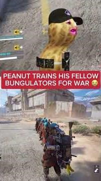Peanut trains his bungulators 😭 @TheBurntPeanut #viral #fyp #peanut #trending #funny #shorts #fypシ