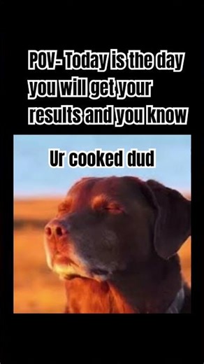 Am I cooker chat #dps #dpsd