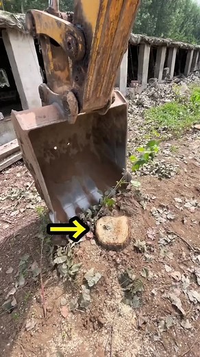 Excavator Stump Removal: Novice vs Experienced Technique