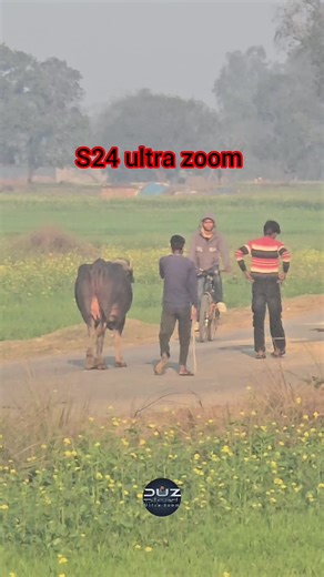 Samsung Galaxy S25 Ultra 20x Zoom Test Results