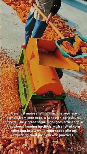 Efficient Home Use Corn Thresher Machine in Action.#machine#agriculture