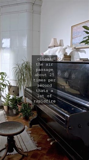 The Mysterious Power of Purring Unlocking the Secrets of Feline CommunicationAs any cat...