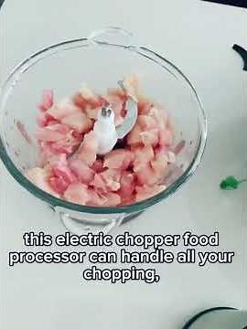 GANIZA Food Processors Review – Powerful 450W Chopper & Meat Grinder!