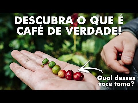 What is specialty coffee?